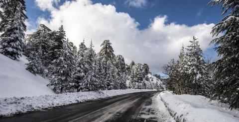 &Pi;&alpha;&gamma;&epsilon;&tau;ό&sigmaf; &pi;&rho;&omicron;&sigmaf; &tau;&omicron; &Tau;&rho;ό&omicron;&delta;&omicron;&sigmaf;-&Delta;&rho;ό&mu;&omicron;&iota; &omicron;&lambda;&iota;&sigma;&theta;&eta;&rho;&omicron;ί &kappa;&alpha;&iota; &alpha;&nu;&omicron;&iota;&kappa;&tau;&omicron;ί &mu;ό&nu;&omicron; &gamma;&iota;&alpha; &omicron;&chi;ή&mu;&alpha;&tau;&alpha; 4&Chi;4 &kappa;&alpha;&iota; &alpha;&nu;&tau;&iota;&omicron;&lambda;&iota;&sigma;&theta;&eta;&tau;&iota;&kappa;έ&sigmaf; &alpha;&lambda;&upsilon;&sigma;ί&delta;&epsilon;&sigmaf;
