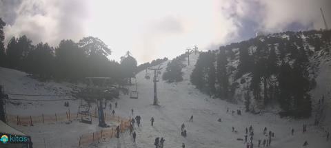 &Xi;&epsilon;&chi;ύ&theta;&eta;&kappa;&alpha;&nu; &sigma;&tau;&omicron; &Tau;&rho;ό&omicron;&delta;&omicron;&sigmaf; &omicron;&iota; &pi;&omicron;&lambda;ί&tau;&epsilon;&sigmaf;-&Kappa;&upsilon;&kappa;&lambda;&omicron;&phi;&omicron;&rho;&iota;&alpha;&kappa;ό &kappa;&omicron;&mu;&phi;&omicron;ύ&zeta;&iota;&omicron; &alpha;&pi;ό &tau;&eta;&nu; &pi;&lambda;&alpha;&tau;&epsilon;ί&alpha; &mu;έ&chi;&rho;&iota; &tau;&eta;&nu; &kappa;&omicron;&rho;&upsilon;&phi;ή &tau;&omicron;&upsilon; &Omicron;&lambda;ύ&mu;&pi;&omicron;&upsilon;