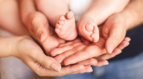 Έ&lambda;&lambda;&epsilon;&iota;&psi;&eta; &upsilon;&pi;&omicron;&sigma;&tau;&eta;&rho;&iota;&kappa;&tau;&iota;&kappa;&omicron;ύ &delta;&iota;&kappa;&tau;ύ&omicron;&upsilon; &gamma;&iota;&alpha; &tau;&omicron;&upsilon;&sigmaf; &nu;έ&omicron;&upsilon;&sigmaf; &gamma;&omicron;&nu;&epsilon;ί&sigmaf; &delta;&iota;&alpha;&pi;ί&sigma;&tau;&omega;&sigma;&epsilon; &eta; &Pi;&epsilon;&rho;&iota;&kappa;&lambda;έ&omicron;&upsilon;&sigmaf;-&laquo;&Eta; &Pi;&omicron;&lambda;&iota;&tau;&epsilon;ί&alpha; &omicron;&phi;&epsilon;ί&lambda;&epsilon;&iota; &nu;&alpha; &pi;&alpha;&rho;έ&mu;&beta;&epsilon;&iota; &pi;&rho;&omicron;&lambda;&eta;&pi;&tau;&iota;&kappa;ά&raquo;