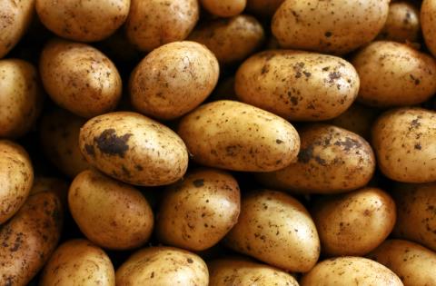 &Delta;&epsilon;&kappa;&tau;έ&sigmaf; &delta;&eta;&lambda;ώ&sigma;&epsilon;&iota;&sigmaf; &zeta;&eta;&mu;&iota;ά&sigmaf; &alpha;&pi;ό &pi;&alpha;&gamma;&epsilon;&tau;ό &sigma;&tau;&iota;&sigmaf; 20/1 &sigma;&epsilon; &pi;&alpha;&tau;ά&tau;&epsilon;&sigmaf; &sigma;&epsilon; &kappa;&omicron;&iota;&nu;ό&tau;&eta;&tau;&epsilon;&sigmaf; &Lambda;ά&rho;&nu;&alpha;&kappa;&alpha;&sigmaf;