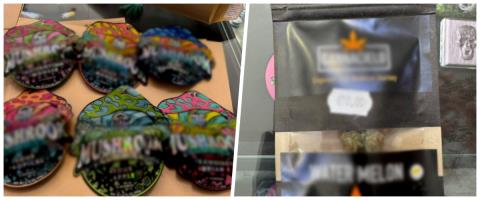 Έ&phi;&omicron;&delta;&omicron;&sigmaf; &tau;&eta;&sigmaf; &Alpha;&sigma;&tau;&upsilon;&nu;&omicron;&mu;ί&alpha;&sigmaf; &sigma;&epsilon; &upsilon;&pi;&omicron;&sigma;&tau;&alpha;&tau;&iota;&kappa;ό &sigma;&tau;&eta; &Lambda;&epsilon;&upsilon;&kappa;&omega;&sigma;ί&alpha;-&Epsilon;&nu;&tau;&omicron;&pi;ί&sigma;&tau;&eta;&kappa;&alpha;&nu; &pi;ά&nu;&omega; &alpha;&pi;ό 60 &sigma;&upsilon;&sigma;&kappa;&epsilon;&upsilon;&alpha;&sigma;ί&epsilon;&sigmaf; &mu;&epsilon; &nu;&alpha;&rho;&kappa;&omega;&tau;&iota;&kappa;έ&sigmaf; &omicron;&upsilon;&sigma;ί&epsilon;&sigmaf; (pics)