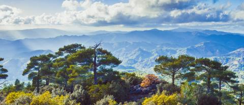 &Sigma;&tau;&omicron; &mu;&iota;&kappa;&rho;&omicron;&sigma;&kappa;ό&pi;&iota;&omicron; &tau;&eta;&sigmaf; &Epsilon;&pi;. &Epsilon;&lambda;έ&gamma;&chi;&omicron;&upsilon; &upsilon;&pi;&omicron;&theta;έ&sigma;&epsilon;&iota;&sigmaf; &epsilon;&kappa;&mu;ί&sigma;&theta;&omega;&sigma;&eta;&sigmaf; &kappa;&rho;&alpha;&tau;&iota;&kappa;ή&sigmaf; &delta;&alpha;&sigma;&iota;&kappa;ή&sigmaf; &gamma;&eta;&sigmaf;-&Alpha;&pi;ό &xi;&epsilon;&nu;&omicron;&delta;&omicron;&chi;&epsilon;ί&omicron; &sigma;&tau;&eta;&nu; &Alpha;&gamma;ί&alpha; &Nu;ά&pi;&alpha; &mu;έ&chi;&rho;&iota; &epsilon;&iota;&delta;&iota;&kappa;ό &sigma;&chi;&omicron;&lambda;&epsilon;ί&omicron;