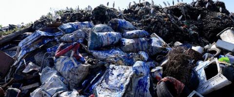 &Alpha;ύ&xi;&eta;&sigma;&epsilon; &tau;&alpha; &pi;&rho;ό&sigma;&tau;&iota;&mu;&alpha; &gamma;&iota;&alpha; &tau;&omicron;&upsilon;&sigmaf; &pi;&alpha;&rho;ά&nu;&omicron;&mu;&omicron;&upsilon;&sigmaf; &sigma;&kappa;&upsilon;&beta;&alpha;&lambda;ό&tau;&omicron;&pi;&omicron;&upsilon;&sigmaf; &eta; &Omicron;&lambda;&omicron;&mu;έ&lambda;&epsilon;&iota;&alpha;-&Beta;&lambda;έ&pi;&omicron;&upsilon;&nu; &sigma;ύ&nu;&delta;&epsilon;&sigma;&eta; &mu;&epsilon; &tau;&omicron;&nu; &upsilon;&pi;ό&kappa;&omicron;&sigma;&mu;&omicron; &omicron;&iota; &beta;&omicron;&upsilon;&lambda;&epsilon;&upsilon;&tau;έ&sigmaf;