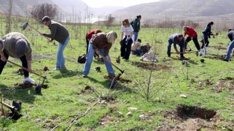 &Delta;&epsilon;&nu;&tau;&rho;&omicron;&phi;ύ&tau;&epsilon;&upsilon;&sigma;&eta; &sigma;&tau;&iota;&sigmaf; &pi;&upsilon;&rho;ό&pi;&lambda;&eta;&kappa;&tau;&epsilon;&sigmaf; &pi;&epsilon;&rho;&iota;&omicron;&chi;έ&sigmaf; &pi;&rho;&alpha;&gamma;&mu;&alpha;&tau;&omicron;&pi;&omicron;ί&eta;&sigma;&epsilon; &tau;&omicron; &Alpha;&Kappa;&Epsilon;&Lambda;-&laquo;&Pi;&alpha;&rho;ώ&nu; ό&tau;&alpha;&nu; &sigma;&beta;ή&nu;&omicron;&upsilon;&nu; &tau;&alpha; &phi;ώ&tau;&alpha;&raquo;