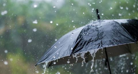 &Epsilon;&iota;&kappa;&omicron;&sigma;&iota;&tau;&epsilon;&tau;&rho;ά&omega;&rho;&eta; &kappa;ί&tau;&rho;&iota;&nu;&eta; &pi;&rho;&omicron;&epsilon;&iota;&delta;&omicron;&pi;&omicron;ί&eta;&sigma;&eta; &gamma;&iota;&alpha; &iota;&sigma;&chi;&upsilon;&rho;έ&sigmaf; &beta;&rho;&omicron;&chi;έ&sigmaf;, &kappa;&alpha;&tau;&alpha;&iota;&gamma;ί&delta;&epsilon;&sigmaf; &kappa;&alpha;&iota; &chi;&alpha;&lambda;ά&zeta;&iota;-&Pi;ό&tau;&epsilon; &tau;ί&theta;&epsilon;&tau;&alpha;&iota; &sigma;&epsilon; &iota;&sigma;&chi;ύ