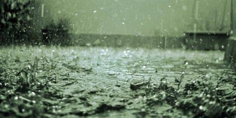 &Sigma;&upsilon;&sigma;&tau;ά&sigma;&epsilon;&iota;&sigmaf; &tau;&eta;&sigmaf; &Pi;&omicron;&lambda;&iota;&tau;&iota;&kappa;ή&sigmaf; Ά&mu;&upsilon;&nu;&alpha;&sigmaf; &gamma;&iota;&alpha; &epsilon;&lambda;&alpha;&chi;&iota;&sigma;&tau;&omicron;&pi;&omicron;ί&eta;&sigma;&eta; &tau;&omega;&nu; &kappa;&iota;&nu;&delta;ύ&nu;&omega;&nu; &alpha;&pi;ό &kappa;&alpha;&iota;&rho;&iota;&kappa;ά &phi;&alpha;&iota;&nu;ό&mu;&epsilon;&nu;&alpha;