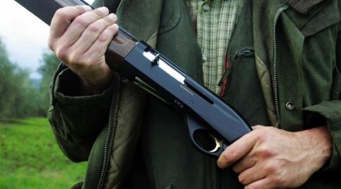 &Epsilon;&nu;&omicron;&chi;&lambda;&eta;&mu;έ&nu;&eta; &eta; &Upsilon;&pi;&eta;&rho;&epsilon;&sigma;ί&alpha; &Theta;ή&rho;&alpha;&sigmaf; &mu;&epsilon; &tau;&eta;&nu; &Iota;&sigma;ό&tau;&eta;&tau;&alpha;-&laquo;&Phi;έ&rho;&tau;&epsilon; &mu;&alpha;&sigmaf; &sigma;&tau;&omicron;&iota;&chi;&epsilon;ί&alpha; &kappa;&alpha;&iota; &theta;&alpha; &pi;ά&rho;&omicron;&upsilon;&mu;&epsilon; &kappa;&epsilon;&phi;ά&lambda;&iota;&alpha;&raquo;