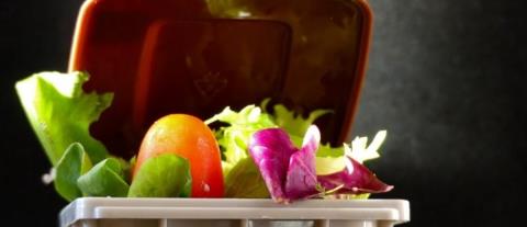 &Sigma;&tau;&eta;&nu; &Kappa;ύ&pi;&rho;&omicron; &kappa;&alpha;&tau;&alpha;&gamma;&rho;ά&phi;&omicron;&nu;&tau;&alpha;&iota; &alpha;&pi;ό &tau;&alpha; &upsilon;&psi;&eta;&lambda;ό&tau;&epsilon;&rho;&alpha; &epsilon;&pi;ί&pi;&epsilon;&delta;&alpha; &sigma;&pi;&alpha;&tau;ά&lambda;&eta;&sigmaf; &tau;&rho;&omicron;&phi;ί&mu;&omega;&nu; &sigma;&tau;&eta;&nu; &Epsilon;&Epsilon;