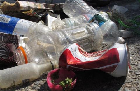 &Sigma;&kappa;&omicron;&upsilon;&pi;ί&delta;&iota;&alpha; &alpha;&pi;ό &tau;&omicron;&nu; &Kappa;&alpha;&nu;&alpha;&delta;ά &tau;&eta;&sigmaf; &delta;&epsilon;&kappa;&alpha;&epsilon;&tau;ί&alpha;&sigmaf; &tau;&omicron;&upsilon; 1960 &xi;&epsilon;&beta;&rho;ά&zeta;&omicron;&nu;&tau;&alpha;&iota; &sigma;&epsilon; &alpha;&kappa;&tau;έ&sigmaf; &tau;&eta;&sigmaf; &Sigma;&kappa;&omega;&tau;ί&alpha;&sigmaf;