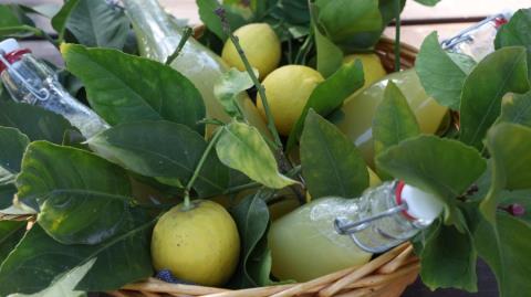 &Tau;&omicron; &Pi;&epsilon;&rho;&iota;&beta;ό&lambda;&iota; &tau;&omicron;&upsilon; &Pi;&rho;&omicron;&epsilon;&delta;&rho;&iota;&kappa;&omicron;ύ έ&delta;&omega;&sigma;&epsilon; &kappa;&alpha;&iota; &phi;έ&tau;&omicron;&sigmaf; &tau;&omicron;&upsilon;&sigmaf; &kappa;&alpha;&rho;&pi;&omicron;ύ&sigmaf; &tau;&omicron;&upsilon;-&Delta;&omega;&rho;&epsilon;ά&nu; &sigma;ί&tau;&iota;&sigma;&eta; &pi;&alpha;&iota;&delta;&iota;ώ&nu;, &eta;&lambda;&iota;&kappa;&iota;&omega;&mu;έ&nu;&omega;&nu; &kappa;&alpha;&iota; &alpha;&tau;ό&mu;&omega;&nu; &mu;&epsilon; &alpha;&nu;&alpha;&pi;&eta;&rho;ί&alpha;