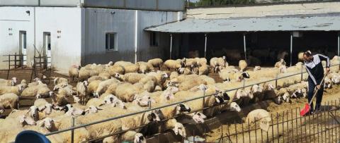 &Pi;ά&nu;&omega; &alpha;&pi;ό 5,5 &chi;&iota;&lambda;&iota;ά&delta;&epsilon;&sigmaf; &theta;&alpha;&nu;&alpha;&tau;ώ&sigma;&epsilon;&iota;&sigmaf; &zeta;ώ&omega;&nu; &lambda;ό&gamma;&omega; &tau;&omicron;&upsilon; &alpha;&phi;&theta;ώ&delta;&omicron;&upsilon;&sigmaf; &iota;&omicron;ύ-&laquo;&Alpha;&nu; &delta;&epsilon;&nu; &sigma;&tau;&alpha;&theta;&epsilon;ί &tau;&omicron; &kappa;&rho;ά&tau;&omicron;&sigmaf; &alpha;&rho;&omega;&gamma;ό&sigmaf;, &epsilon;&mu;&epsilon;ί&sigmaf; &kappa;&alpha;&tau;&alpha;&sigma;&tau;&rho;&epsilon;&phi;ό&mu;&alpha;&sigma;&tau;&epsilon;&raquo;