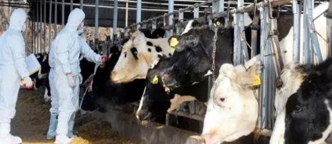 Z&eta;&tau;ά &delta;&iota;&epsilon;&rho;&epsilon;ύ&nu;&eta;&sigma;&eta; &kappa;&alpha;&iota; &alpha;&pi;ό&delta;&omicron;&sigma;&eta; &epsilon;&upsilon;&theta;&upsilon;&nu;ώ&nu; &gamma;&iota;&alpha; &tau;&eta;&nu; &epsilon;&xi;ά&pi;&lambda;&omega;&sigma;&eta; &tau;&omicron;&upsilon;&nbsp;&alpha;&phi;&theta;ώ&delta;&omicron;&upsilon;&sigmaf; &pi;&upsilon;&rho;&epsilon;&tau;&omicron;ύ &eta; &Epsilon;&Delta;&Epsilon;&Kappa;-&laquo;&Omicron;&nbsp;&sigma;&upsilon;&nu;&alpha;&gamma;&epsilon;&rho;&mu;ό&sigmaf; έ&pi;&rho;&epsilon;&pi;&epsilon; &nu;&alpha; &eta;&chi;ή&sigma;&epsilon;&iota; &nu;&omega;&rho;ί&tau;&epsilon;&rho;&alpha;&raquo;