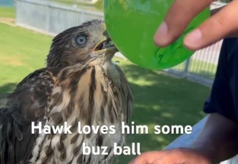 &Kappa;&alpha;&tau;&alpha;&delta;&iota;&kappa;ά&sigma;&tau;&eta;&kappa;&epsilon; &sigma;&epsilon; &phi;&upsilon;&lambda;ά&kappa;&iota;&sigma;&eta; 45 &eta;&mu;&epsilon;&rho;ώ&nu; ά&nu;&delta;&rho;&alpha;&sigmaf; &pi;&omicron;&upsilon; έ&delta;&omega;&sigma;&epsilon; &alpha;&lambda;&kappa;&omicron;ό&lambda; &sigma;&epsilon; &gamma;&epsilon;&rho;ά&kappa;&iota; &sigma;&tau;&omicron; &Lambda;&omicron;&sigmaf; Ά&nu;&tau;&zeta;&epsilon;&lambda;&epsilon;&sigmaf;