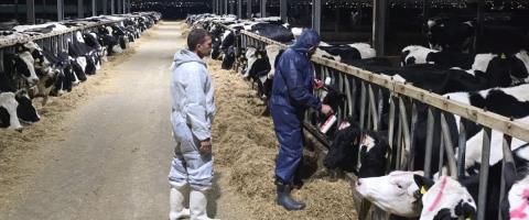 &Alpha;&pi;&alpha;&nu;&tau;&omicron;ύ&nu; &sigma;&tau;&iota;&sigmaf; &epsilon;&pi;&iota;&kappa;&rho;ί&sigma;&epsilon;&iota;&sigmaf; &omicron;&iota; &Kappa;&tau;&eta;&nu;&iota;&alpha;&tau;&rho;&iota;&kappa;έ&sigmaf; &gamma;&iota;&alpha; &mu;&eta; &epsilon;&pi;&alpha;&nu;ά&lambda;&eta;&psi;&eta; &tau;&omega;&nu; &epsilon;&xi;&epsilon;&tau;ά&sigma;&epsilon;&omega;&nu; &sigma;&epsilon; &phi;ά&rho;&mu;&epsilon;&sigmaf;-&laquo;&Nu;&alpha; &sigma;&tau;&alpha;&mu;&alpha;&tau;ή&sigma;&epsilon;&iota; &omicron; &phi;ό&beta;&omicron;&sigmaf; &kappa;&alpha;&iota; &eta; &alpha;&mu;&phi;&iota;&sigma;&beta;ή&tau;&eta;&sigma;&eta; &alpha;&pi;ό &tau;&omicron; &kappa;&omicron;&iota;&nu;ό&raquo;