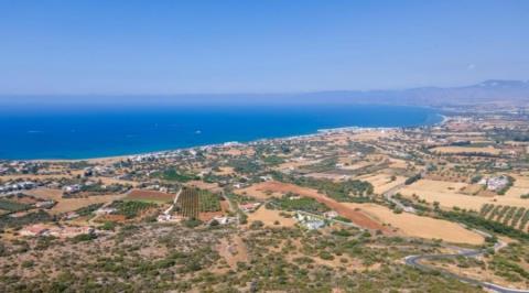 &Gamma;&iota;ώ&rho;&gamma;&omicron;&sigmaf; &Pi;&omicron;&lambda;&upsilon;&kappa;ά&rho;&pi;&omicron;&upsilon;: &Eta; &xi;&epsilon;&kappa;ά&theta;&alpha;&rho;&eta; &epsilon;&nu;&eta;&mu;έ&rho;&omega;&sigma;&eta; &kappa;&alpha;&iota; &omicron; &sigma;&upsilon;&nu;&tau;&omicron;&nu;&iota;&sigma;&mu;ό&sigmaf; &kappa;&lambda;&epsilon;&iota;&delta;ί &gamma;&iota;&alpha; &tau;&eta;&nu; &pi;&rho;&omicron;&sigma;&tau;&alpha;&sigma;ί&alpha; &tau;&omega;&nu; &pi;&omicron;&lambda;&iota;&tau;ώ&nu; &sigma;&tau;&eta;&nu; &Tau;ί&mu;&eta;