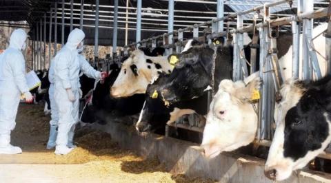 &Delta;&iota;&alpha;&mu;&alpha;&rho;&tau;ύ&rho;&omicron;&nu;&tau;&alpha;&iota; &mu;έ&sigma;&omega; &epsilon;&pi;&iota;&sigma;&tau;&omicron;&lambda;ή&sigmaf; &tau;&omicron;&upsilon;&sigmaf; &sigma;&tau;&alpha; &Upsilon;&pi;&omicron;&upsilon;&rho;&gamma;&epsilon;ί&alpha; &omicron;&iota; &Tau;&upsilon;&rho;&omicron;&kappa;ό&mu;&omicron;&iota;-&Zeta;&eta;&tau;&omicron;ύ&nu; &pi;&rho;&omicron;&sigma;&omega;&rho;&iota;&nu;ή &alpha;&nu;&alpha;&sigma;&tau;&omicron;&lambda;ή &tau;&omega;&nu; &mu;&omicron;&nu;ά&delta;&omega;&nu; &epsilon;&nu;&tau;ό&sigmaf; &kappa;&alpha;&iota; &gamma;ύ&rho;&omega; &alpha;&pi;ό &tau;&eta;&nu; &Nu;&epsilon;&kappa;&rho;ή &Zeta;ώ&nu;&eta;