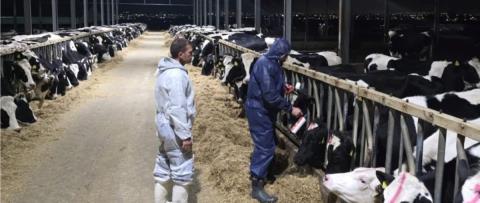 &Kappa;&rho;&omicron;ύ&sigma;&mu;&alpha; &alpha;&phi;&theta;ώ&delta;&omicron;&upsilon;&sigmaf; &pi;&upsilon;&rho;&epsilon;&tau;&omicron;ύ &kappa;&alpha;&iota; &sigma;&tau;&eta; &Delta;&rho;&omicron;&mu;&omicron;&lambda;&alpha;&xi;&iota;ά-&Pi;&rho;&omicron;&sigma;&beta;&lambda;ή&theta;&eta;&kappa;&epsilon; &phi;ά&rho;&mu;&alpha; &mu;&epsilon; &beta;&omicron;&omicron;&epsilon;&iota;&delta;ή, &alpha;&nu;&eta;&sigma;&upsilon;&chi;ί&alpha; &gamma;&iota;&alpha; &pi;&epsilon;&rho;&alpha;&iota;&tau;έ&rho;&omega; &epsilon;&xi;ά&pi;&lambda;&omega;&sigma;&eta; &tau;&omicron;&upsilon; &iota;&omicron;ύ