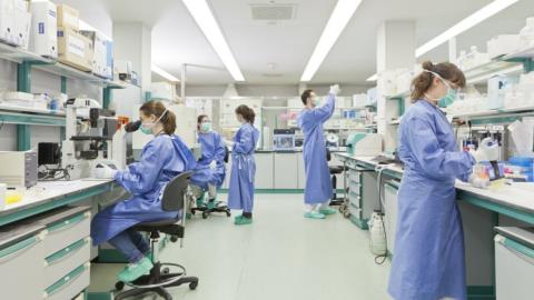 Ά&mu;&epsilon;&sigma;&eta; &sigma;ύ&sigma;&tau;&alpha;&sigma;&eta; &tau;&epsilon;&chi;&nu;&iota;&kappa;ή&sigmaf; &epsilon;&pi;&iota;&tau;&rho;&omicron;&pi;ή&sigmaf; &gamma;&iota;&alpha; &tau;&iota;&sigmaf; &delta;&iota;&alpha;&phi;&omega;&nu;ί&epsilon;&sigmaf; &sigma;&tau;&omicron; &nu;&omicron;&mu;&omicron;&sigma;&chi;έ&delta;&iota;&omicron; &tau;&omega;&nu; &Pi;&alpha;&nu;&epsilon;&pi;&iota;&sigma;&tau;&eta;&mu;&iota;&alpha;&kappa;ώ&nu; &Kappa;&lambda;&iota;&nu;&iota;&kappa;ώ&nu;-&Tau;&rho;έ&chi;&omicron;&upsilon;&nu; &gamma;&iota;&alpha; &tau;&eta;&nu; &psi;ή&phi;&iota;&sigma;&eta; &alpha;&pi;ό &tau;&eta;&nu; &Omicron;&lambda;&omicron;&mu;έ&lambda;&epsilon;&iota;&alpha;