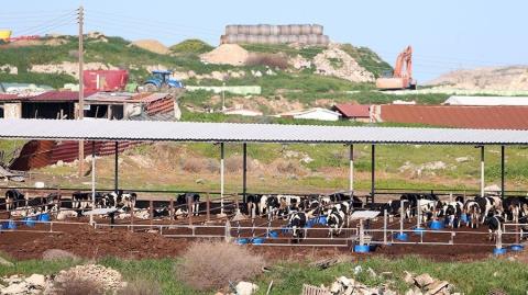 &Epsilon;&upsilon;&theta;&epsilon;ί&epsilon;&sigmaf; &beta;&omicron;&lambda;έ&sigmaf; &Omicron;&iota;&kappa;&omicron;&lambda;ό&gamma;&omega;&nu; &sigma;&epsilon; &Kappa;&upsilon;&beta;έ&rho;&nu;&eta;&sigma;&eta; &kappa;&alpha;&iota; &Pi;&alpha;&nu;&alpha;&gamma;&iota;ώ&tau;&omicron;&upsilon; &gamma;&iota;&alpha; &tau;&omicron;&nu; &alpha;&phi;&theta;ώ&delta;&eta; &pi;&upsilon;&rho;&epsilon;&tau;ό-&Zeta;&eta;&tau;&omicron;ύ&nu; &pi;&alpha;ύ&sigma;&eta; &tau;&eta;&sigmaf; &upsilon;&pi;&omicron;&upsilon;&rho;&gamma;&omicron;ύ