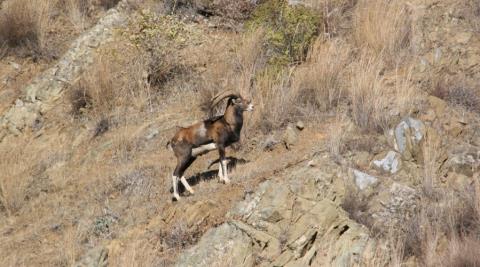 &Pi;&alpha;&rho;&alpha;&mu;έ&nu;&omicron;&upsilon;&nu; &kappa;&lambda;&epsilon;&iota;&sigma;&tau;έ&sigmaf; &pi;&rho;&omicron;&lambda;&eta;&pi;&tau;&iota;&kappa;ά &omicron;&iota; &delta;&omicron;&mu;έ&sigmaf; &phi;ύ&lambda;&alpha;&xi;&eta;&sigmaf; &kappa;&alpha;&iota; &phi;&rho;&omicron;&nu;&tau;ί&delta;&alpha;&sigmaf; &alpha;&gamma;&rho;&iota;&nu;ώ&nu; &lambda;ό&gamma;&omega; &tau;&omicron;&upsilon; &alpha;&phi;&theta;ώ&delta;&omicron;&upsilon;&sigmaf; &pi;&upsilon;&rho;&epsilon;&tau;&omicron;ύ