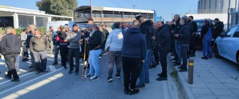 Καζάνι που βράζει ο κτηνοτροφικός τομέας λόγω των θανατώσεων-Περιμένουν Χριστοδουλίδη για να αποφασίσουν κινητοποιήσεις