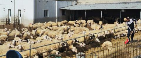 &Nu;έ&omicron; &delta;&iota;ά&tau;&alpha;&gamma;&mu;&alpha; &gamma;&iota;&alpha; &epsilon;&nu;ί&sigma;&chi;&upsilon;&sigma;&eta; &tau;&omega;&nu; &mu;έ&tau;&rho;&omega;&nu; &kappa;&alpha;&tau;ά &tau;&omicron;&upsilon; &alpha;&phi;&theta;ώ&delta;&omicron;&upsilon;&sigmaf; &pi;&upsilon;&rho;&epsilon;&tau;&omicron;ύ-&Omicron;&iota; &nu;έ&epsilon;&sigmaf; &pi;&rho;&omicron;&sigma;&theta;ή&kappa;&epsilon;&sigmaf;