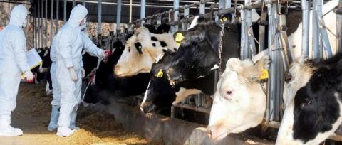 &Delta;&epsilon;&nu; &kappa;&alpha;&tau;ά&phi;&epsilon;&rho;&alpha;&nu; &alpha;&kappa;ό&mu;&alpha; &nu;&alpha; &pi;ά&rho;&omicron;&upsilon;&nu; &delta;&epsilon;ί&gamma;&mu;&alpha;&tau;&alpha; &alpha;&pi;ό &tau;&eta;&nu; &kappa;&tau;&eta;&nu;&omicron;&tau;&rho;&omicron;&phi;&iota;&kappa;ή &mu;&omicron;&nu;ά&delta;&alpha; &sigma;&tau;&omicron; &Gamma;έ&rho;&iota; &omicron;&iota; &Kappa;&tau;&eta;&nu;&iota;&alpha;&tau;&rho;&iota;&kappa;έ&sigmaf;-&laquo;&Omicron;&phi;&epsilon;ί&lambda;&omicron;&upsilon;&mu;&epsilon; &nu;&alpha; &kappa;ά&nu;&omicron;&upsilon;&mu;&epsilon; &iota;&chi;&nu;&eta;&lambda;ά&tau;&eta;&sigma;&eta;&raquo;