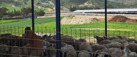 Έ&nu;&tau;&alpha;&sigma;&eta; &sigma;&epsilon; &kappa;&tau;&eta;&nu;&omicron;&tau;&rho;&omicron;&phi;&iota;&kappa;ή &mu;&omicron;&nu;ά&delta;&alpha; &sigma;&tau;&alpha; &Lambda;&iota;&beta;ά&delta;&iota;&alpha;-&Kappa;&tau;&eta;&nu;&omicron;&tau;&rho;ό&phi;&omicron;&iota; &pi;&alpha;&rho;&epsilon;&mu;&pi;ό&delta;&iota;&sigma;&alpha;&nu; &lambda;&epsilon;&iota;&tau;&omicron;&upsilon;&rho;&gamma;&omicron;ύ&sigmaf; &tau;&omega;&nu; &Kappa;&tau;&eta;&nu;&iota;&alpha;&tau;&rho;&iota;&kappa;ώ&nu; &nu;&alpha; &pi;&rho;&omicron;&chi;&omega;&rho;ή&sigma;&omicron;&upsilon;&nu; &mu;&epsilon; &theta;&alpha;&nu;&alpha;&tau;ώ&sigma;&epsilon;&iota;&sigmaf;, &sigma;&tau;&omicron; &sigma;&eta;&mu;&epsilon;ί&omicron;