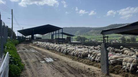 Έ&phi;&theta;&alpha;&sigma;&alpha;&nu; &tau;&alpha; &epsilon;&mu;&beta;ό&lambda;&iota;&alpha; &tau;&omicron;&upsilon; &alpha;&phi;&theta;ώ&delta;&omicron;&upsilon;&sigmaf; &pi;&upsilon;&rho;&epsilon;&tau;&omicron;ύ &gamma;&iota;&alpha; &tau;&omicron;&upsilon;&sigmaf; &chi;&omicron;ί&rho;&omicron;&upsilon;&sigmaf;-&Pi;ώ&sigmaf; &alpha;&pi;&alpha;&nu;&tau;&omicron;ύ&nu; &omicron;&iota; &Kappa;&tau;&eta;&nu;&iota;&alpha;&tau;&rho;&iota;&kappa;έ&sigmaf; &sigma;&tau;&iota;&sigmaf; &kappa;&alpha;&tau;&alpha;&gamma;&gamma;&epsilon;&lambda;ί&epsilon;&sigmaf; &gamma;&iota;&alpha; &theta;&alpha;&nu;&alpha;&tau;ώ&sigma;&epsilon;&iota;&sigmaf; &mu;&epsilon; ό&pi;&lambda;&alpha;