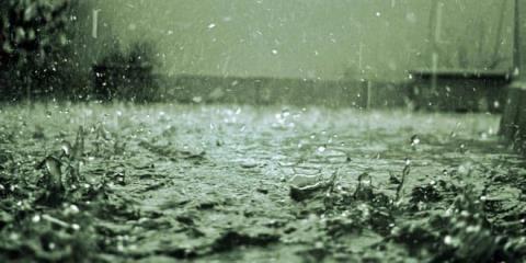 &Upsilon;&pi;&omicron;&chi;&omega;&rho;&epsilon;ί &mu;έ&chi;&rho;&iota; &tau;&omicron; &mu;&epsilon;&sigma;&eta;&mu;έ&rho;&iota; &eta; &kappa;&alpha;&kappa;&omicron;&kappa;&alpha;&iota;&rho;ί&alpha; Erminio, &pi;&alpha;&rho;&alpha;&mu;έ&nu;&epsilon;&iota; &sigma;&kappa;ό&nu;&eta; &sigma;&tau;&eta;&nu; &alpha;&tau;&mu;ό&sigma;&phi;&alpha;&iota;&rho;&alpha;-&Eta; &pi;&rho;ό&gamma;&nu;&omega;&sigma;&eta; &tau;&eta;&sigmaf; &Mu;&epsilon;&tau;&epsilon;&omega;&rho;&omicron;&lambda;&omicron;&gamma;&iota;&kappa;ή&sigmaf;