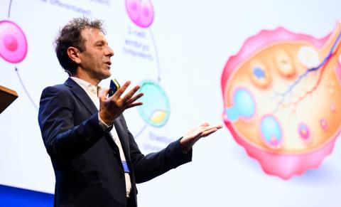 Η Επιστήμη της Αναζωογόνησης: Συνομιλία με τον Καθηγητή Vittorio Sebastiano