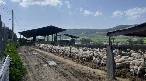 &Sigma;&epsilon; ά&sigma;&chi;&eta;&mu;&eta; &psi;&upsilon;&chi;&omicron;&lambda;&omicron;&gamma;&iota;&kappa;ή &kappa;&alpha;&tau;ά&sigma;&tau;&alpha;&sigma;&eta; &omicron;&iota; &kappa;&tau;&eta;&nu;&omicron;&tau;&rho;ό&phi;&omicron;&iota;, έ&kappa;&kappa;&lambda;&eta;&sigma;&eta; &gamma;&iota;&alpha; ά&mu;&epsilon;&sigma;&epsilon;&sigmaf; &alpha;&pi;&omicron;&zeta;&eta;&mu;&iota;ώ&sigma;&epsilon;&iota;&sigmaf;-&laquo;&Alpha;&beta;έ&beta;&alpha;&iota;&eta; &eta; &epsilon;&pi;&alpha;&nu;&alpha;&delta;&rho;&alpha;&sigma;&tau;&eta;&rho;&iota;&omicron;&pi;&omicron;ί&eta;&sigma;&eta; &tau;&omicron;&upsilon; &kappa;&lambda;ά&delta;&omicron;&upsilon;&raquo;