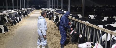 &Sigma;&tau;&omicron; &sigma;&tau;&alpha;&upsilon;&rho;&omicron;&delta;&rho;ό&mu;&iota; &alpha;&pi;&omicron;&phi;ά&sigma;&epsilon;&omega;&nu; &gamma;&iota;&alpha; &alpha;&nu;&alpha;&sigma;ύ&sigma;&tau;&alpha;&sigma;&eta; &tau;&eta;&sigmaf; &kappa;&tau;&eta;&nu;&omicron;&tau;&rho;&omicron;&phi;ί&alpha;&sigmaf; &lambda;ό&gamma;&omega; &tau;&omega;&nu; &sigma;&upsilon;&nu;&epsilon;&pi;&epsilon;&iota;ώ&nu; &tau;&omicron;&upsilon; &alpha;&phi;&theta;ώ&delta;&omicron;&upsilon;&sigmaf; &pi;&upsilon;&rho;&epsilon;&tau;&omicron;ύ &kappa;&alpha;&iota; &tau;&omicron; &delta;ί&lambda;&eta;&mu;&mu;&alpha; &tau;&omega;&nu; &epsilon;&iota;&sigma;&alpha;&gamma;&omega;&gamma;ώ&nu; &zeta;ώ&omega;&nu;