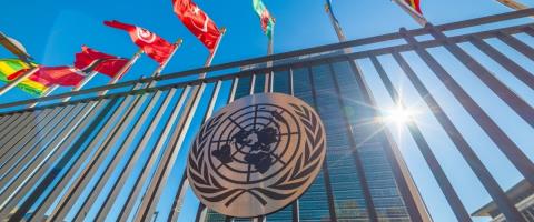 &Eta; &Tau;&omicron;&upsilon;&rho;&kappa;ί&alpha; &alpha;&rho;&nu;ή&theta;&eta;&kappa;&epsilon; &tau;&eta; &sigma;&upsilon;&mu;&mu;&epsilon;&tau;&omicron;&chi;ή &tau;&eta;&sigmaf; &Kappa;&upsilon;&pi;&rho;&iota;&alpha;&kappa;ή&sigmaf; &Delta;&eta;&mu;&omicron;&kappa;&rho;&alpha;&tau;ί&alpha;&sigmaf; &sigma;&epsilon; &delta;&iota;ά&sigma;&kappa;&epsilon;&psi;&eta; &tau;&omicron;&upsilon; &Omicron;&Eta;&Epsilon; &gamma;&iota;&alpha; &tau;&eta;&nu; &kappa;&lambda;&iota;&mu;&alpha;&tau;&iota;&kappa;ή &alpha;&lambda;&lambda;&alpha;&gamma;ή-&Eta; &Epsilon;&Epsilon; &kappa;&alpha;&tau;&alpha;&delta;ί&kappa;&alpha;&sigma;&epsilon; &tau;&omicron;&nu; &alpha;&pi;&omicron;&kappa;&lambda;&epsilon;&iota;&sigma;&mu;ό