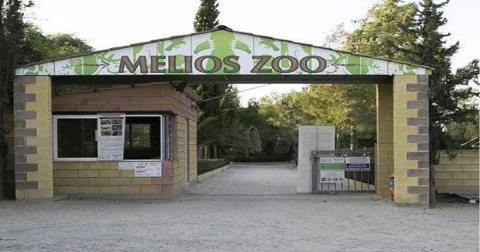 Κρατική αδυναμία εντοπίζει το Πράσινο Κόμμα στο κλείσιμο του Melios Zoo