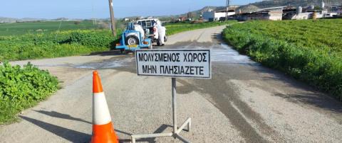 Άρχισαν οι θανατώσεις των χοίρων στο Παλιομέτοχο-«Διαχειρίσιμη η κατάσταση στα αποθέματα γάλακτος και κρέατος»