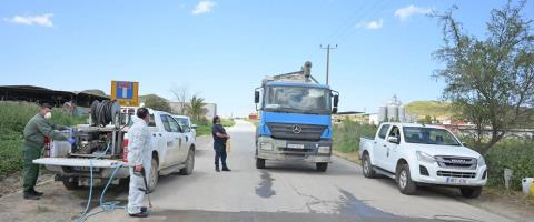 Κλιμακώνεται η ανησυχία για τον αφθώδη πυρετό-Ξεπερνά το 6% το ποσοστό θανατώσεων σε πληθυσμό 310 χιλιάδων χοίρων