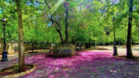 &Gamma;.&Delta; &Upsilon;&Pi;&Epsilon;&Sigma;: &Pi;&alpha;&rho;ά&delta;&epsilon;&iota;&gamma;&mu;&alpha; &sigma;&upsilon;&nu;&delta;&upsilon;&alpha;&sigma;&mu;&omicron;ύ &phi;&upsilon;&sigma;&iota;&kappa;ή&sigmaf; &omicron;&mu;&omicron;&rho;&phi;&iota;ά&sigmaf; &kappa;&alpha;&iota; &sigma;ύ&gamma;&chi;&rho;&omicron;&nu;&eta;&sigmaf; &alpha;&nu;ά&pi;&tau;&upsilon;&xi;&eta;&sigmaf; &omicron; &Kappa;ά&mu;&pi;&omicron;&sigmaf;