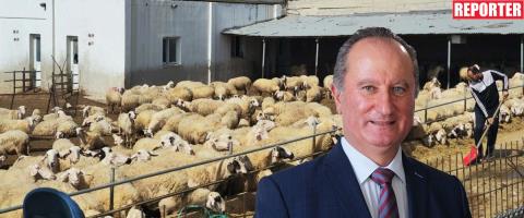 &Beta;&lambda;έ&pi;&epsilon;&iota; &kappa;&alpha;&kappa;έ&sigmaf; &pi;&rho;&alpha;&kappa;&tau;&iota;&kappa;έ&sigmaf; &pi;ί&sigma;&omega; &alpha;&pi;ό &tau;&eta; &mu;&epsilon;&tau;&alpha;&kappa;ί&nu;&eta;&sigma;&eta; &zeta;ώ&omega;&nu; &omicron; &Mu;&alpha;&lambda;ά&sigmaf;-&Epsilon;&kappa;&tau;ό&sigmaf; &sigma;&upsilon;&zeta;ή&tau;&eta;&sigma;&eta;&sigmaf; &eta; &alpha;&nu;&alpha;&pi;&lambda;ή&rho;&omega;&sigma;&eta; &tau;&omicron;&upsilon; &zeta;&omega;&iota;&kappa;&omicron;ύ &kappa;&epsilon;&phi;&alpha;&lambda;&alpha;ί&omicron;&upsilon; &alpha;&pi;ό &tau;&omicron; &epsilon;&xi;&omega;&tau;&epsilon;&rho;&iota;&kappa;ό