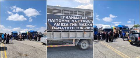 LIVE: Στους δρόμους οι κτηνοτρόφοι, κλείνουν την Ριζοελιά-Δυναμική διαμαρτυρία με προσέλευση από όλες τις επαρχίες