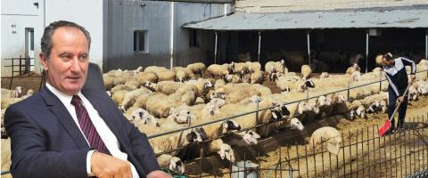&Beta;&lambda;έ&pi;&epsilon;&iota; &sigma;&eta;&mu;ά&delta;&iota;&alpha; &pi;&epsilon;&rho;&iota;&omicron;&rho;&iota;&sigma;&mu;&omicron;ύ &tau;&eta;&sigmaf; &epsilon;&xi;ά&pi;&lambda;&omega;&sigma;&eta;&sigmaf; &tau;&omicron;&upsilon; &alpha;&phi;&theta;ώ&delta;&omicron;&upsilon;&sigmaf; &pi;&upsilon;&rho;&epsilon;&tau;&omicron;ύ &omicron; &Mu;&alpha;&lambda;ά&sigmaf;-&Sigma;&upsilon;&nu;ά&nu;&tau;&eta;&sigma;&eta; &mu;&epsilon; &kappa;&tau;&eta;&nu;&omicron;&tau;&rho;ό&phi;&omicron;&upsilon;&sigmaf; &tau;&omicron; &Sigma;ά&beta;&beta;&alpha;&tau;&omicron;