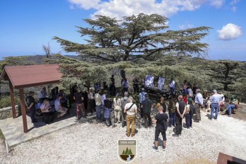 &Omicron;&iota; &sigma;ύ&gamma;&chi;&rho;&omicron;&nu;&epsilon;&sigmaf; &pi;&rho;&omicron;&kappa;&lambda;ή&sigma;&epsilon;&iota;&sigmaf; &gamma;&iota;&alpha; &delta;&alpha;&sigma;&iota;&kappa;ά &omicron;&iota;&kappa;&omicron;&sigma;&upsilon;&sigma;&tau;ή&mu;&alpha;&tau;&alpha; &Epsilon;&upsilon;&rho;ώ&pi;&eta;&sigmaf; &sigma;&tau;&omicron; &epsilon;&pi;ί&kappa;&epsilon;&nu;&tau;&rho;&omicron; &sigma;&upsilon;&nu;ά&nu;&tau;&eta;&sigma;&eta;&sigmaf; &Gamma;&epsilon;&nu;&iota;&kappa;ώ&nu; &Delta;&iota;&epsilon;&upsilon;&theta;&upsilon;&nu;&tau;ώ&nu; &Delta;&alpha;&sigma;ώ&nu; &tau;&eta;&sigmaf; &Epsilon;&Epsilon;