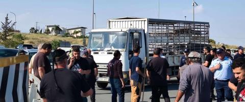 Προαναγγέλλουν δυναμική αντίδραση οι κτηνοτρόφοι-Ανακοινώνουν μέτρα μετά την εκπνοή του τελεσίγραφου που έδωσαν στον Πρόεδρο