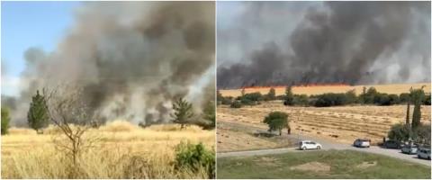 &Beta;&Iota;&Nu;&Tau;&Epsilon;&Omicron;: &Pi;&upsilon;&rho;&kappa;&alpha;&gamma;&iota;ά &epsilon;&nu;&tau;ό&sigmaf; &tau;&eta;&sigmaf; &nu;&epsilon;&kappa;&rho;ή&sigmaf; &zeta;ώ&nu;&eta;&sigmaf; &sigma;&tau;&eta;&nu; &pi;&epsilon;&rho;&iota;&omicron;&chi;ή &Kappa;&alpha;ϊ&mu;&alpha;&kappa;&lambda;ί&omicron;&upsilon;-&Epsilon;&pi;&iota;&chi;&epsilon;&iota;&rho;&omicron;ύ&nu; &delta;&upsilon;&nu;ά&mu;&epsilon;&iota;&sigmaf; &pi;&upsilon;&rho;ό&sigma;&beta;&epsilon;&sigma;&eta;&sigmaf; &kappa;&alpha;&iota; &tau;&eta;&sigmaf; &Kappa;&upsilon;&pi;&rho;&iota;&alpha;&kappa;ή&sigmaf; &Delta;&eta;&mu;&omicron;&kappa;&rho;&alpha;&tau;ί&alpha;&sigmaf;
