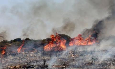 &Eta; &Kappa;ύ&pi;&rho;&omicron;&sigmaf; &sigma;&tau;&omicron; &epsilon;&pi;ί&kappa;&epsilon;&nu;&tau;&rho;&omicron; &tau;&eta;&sigmaf; &epsilon;&upsilon;&rho;&omega;&mu;&epsilon;&sigma;&omicron;&gamma;&epsilon;&iota;&alpha;&kappa;ή&sigmaf; &sigma;&upsilon;&nu;&epsilon;&rho;&gamma;&alpha;&sigma;ί&alpha;&sigmaf; &gamma;&iota;&alpha; &tau;&iota;&sigmaf; &pi;&upsilon;&rho;&kappa;&alpha;&gamma;&iota;έ&sigmaf;