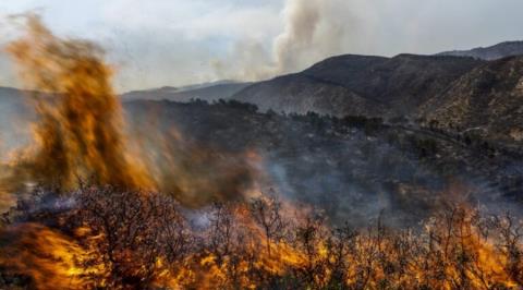 Πυρκαγά σε δασική περιοχή εντοπίστηκε μέσω του ηλεκτροοπτικού συστήματος ανίχνευσης-Σηκώθηκαν δύο πτητικά στην Πάφο