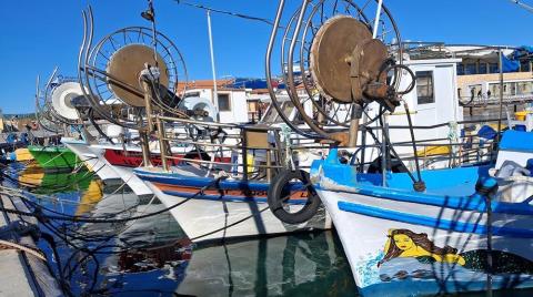 &Xi;&epsilon;&kappa;&alpha;&theta;&alpha;&rho;ί&zeta;&epsilon;&iota; &tau;&omicron; &Tau;&mu;ή&mu;&alpha; &Alpha;&lambda;&iota;&epsilon;ί&alpha;&sigmaf;-&laquo;&Kappa;&alpha;&mu;ί&alpha; έ&nu;&delta;&epsilon;&iota;&xi;&eta; &pi;&alpha;&rho;ά&nu;&omicron;&mu;&eta;&sigmaf; &delta;&rho;&alpha;&sigma;&tau;&eta;&rho;&iota;ό&tau;&eta;&tau;&alpha;&sigmaf; &alpha;&pi;ό έ&kappa;&theta;&epsilon;&sigma;&eta; &tau;&eta;&sigmaf; Oceana&raquo;