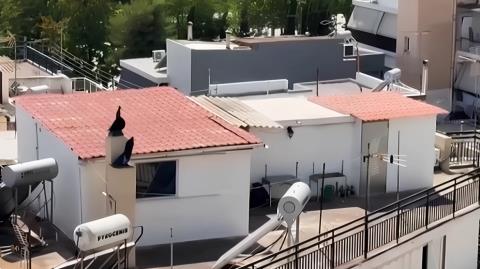 Έγκυος στο έβδομο παιδί η μητέρα της οικογένειας που ζούσε μέσα σε ακαθαρσίες στο Περιστέρι-«Δεν ήταν ο μόνιμος τρόπος ζωής μας»