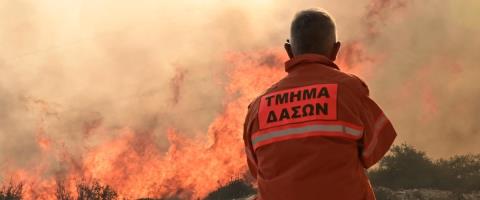 &Omicron;&lambda;&omicron;&kappa;&lambda;&eta;&rho;ώ&theta;&eta;&kappa;&epsilon; &eta; &sigma;&upsilon;&nu;ά&nu;&tau;&eta;&sigma;&eta; &Upsilon;&pi;. &Gamma;&epsilon;&omega;&rho;&gamma;ί&alpha;&sigmaf;, &Tau;&mu;. &Delta;&alpha;&sigma;ώ&nu; &kappa;&alpha;&iota; &delta;&alpha;&sigma;&omicron;&pi;&upsilon;&rho;&omicron;&sigma;&beta;&epsilon;&sigma;&tau;ώ&nu;-&Alpha;&nu;&alpha;&sigma;&tau;ά&lambda;&theta;&eta;&kappa;&epsilon; &pi;&rho;&omicron;&sigma;&omega;&rho;&iota;&nu;ά &eta; &delta;&iota;&alpha;&mu;&alpha;&rho;&tau;&upsilon;&rho;ί&alpha;