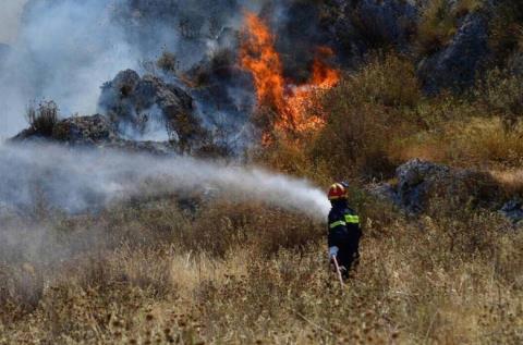 &Alpha;&kappa;&upsilon;&rho;ώ&theta;&eta;&kappa;&epsilon; &eta; 48&omega;&rho;&eta; &alpha;&pi;&epsilon;&rho;&gamma;ί&alpha; &tau;&omega;&nu; &Delta;&alpha;&sigma;&omicron;&pi;&upsilon;&rho;&omicron;&sigma;&beta;&epsilon;&sigma;&tau;ώ&nu;-&laquo;&Theta;&alpha; &epsilon;&phi;&alpha;&rho;&mu;&omicron;&sigma;&tau;&omicron;ύ&nu; &omicron;&iota; ό&rho;&omicron;&iota; &alpha;&pi;&alpha;&sigma;&chi;ό&lambda;&eta;&sigma;&eta;&sigmaf; &kappa;&alpha;&iota; &tau;&omicron; &Sigma;&chi;έ&delta;&iota;&omicron; &Upsilon;&pi;&eta;&rho;&epsilon;&sigma;ί&alpha;&sigmaf;&raquo;